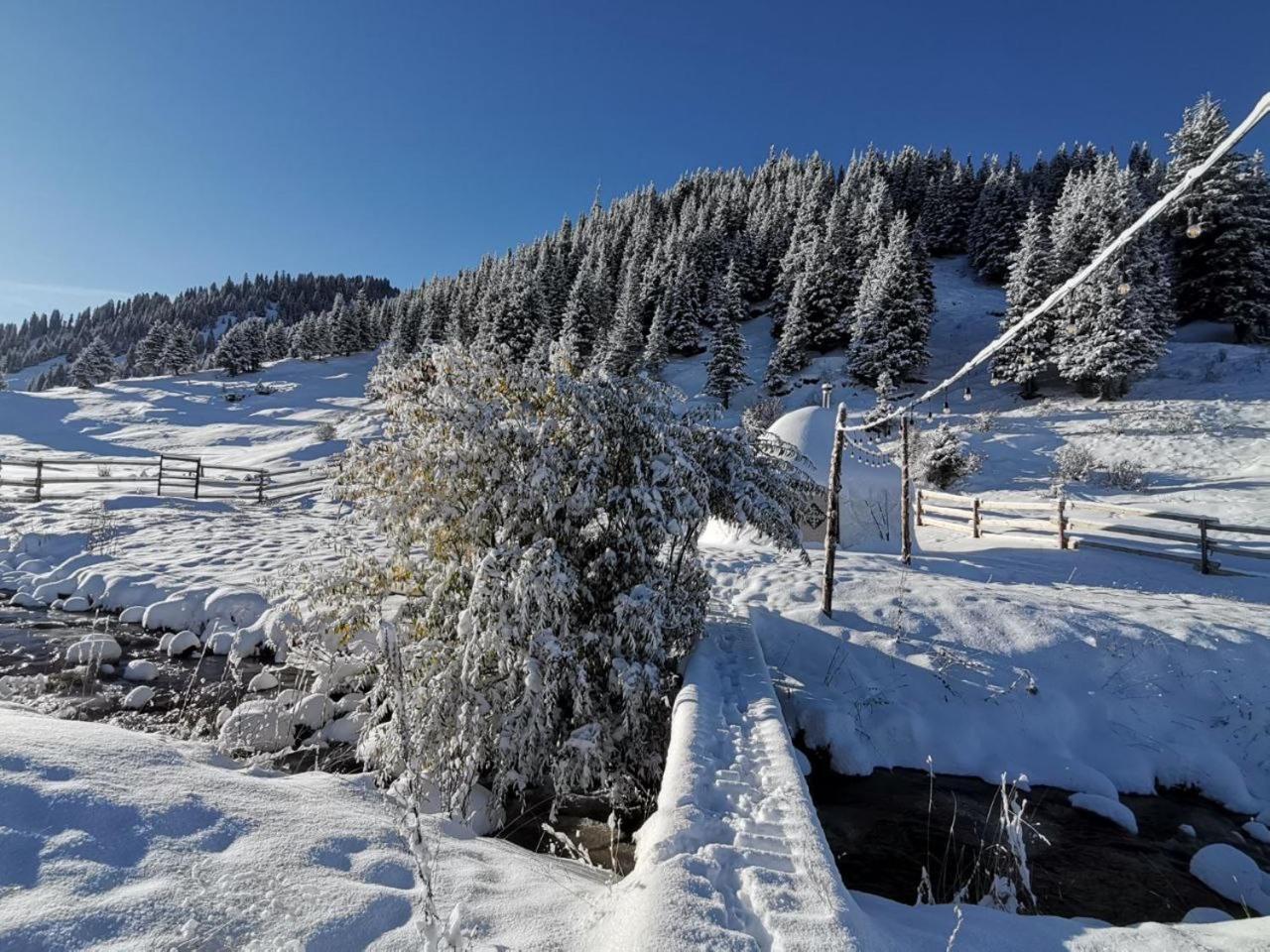 Mine Hostel Dzhergalan Jyrgalan Zewnętrze zdjęcie